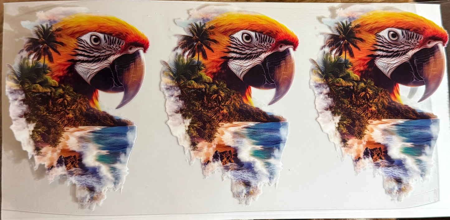 Parrot tropics profile uv dtf decal