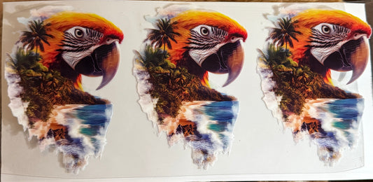 Parrot tropics profile uv dtf decal