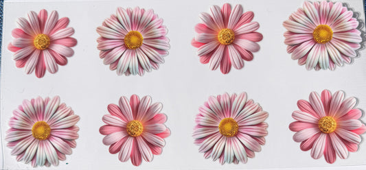Light pink daisies uv dtf decal