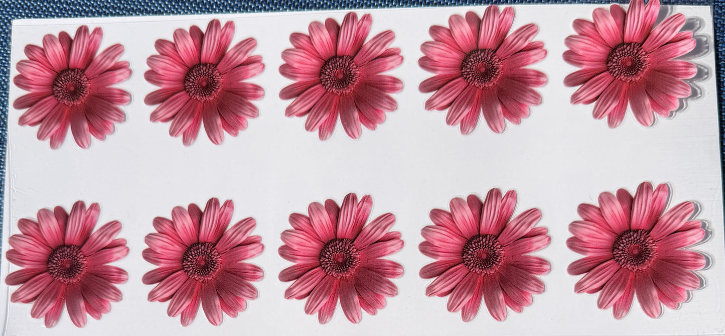 Bright pink daisies uv dtf decal