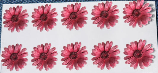 Bright pink daisies uv dtf decal
